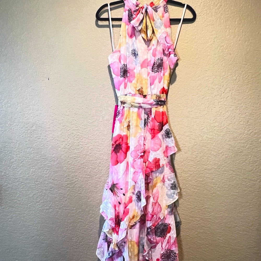 NWT Alex Marie High Neck Floral Maxi